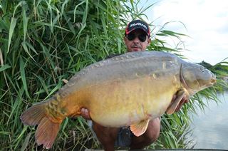 campion printre campioni